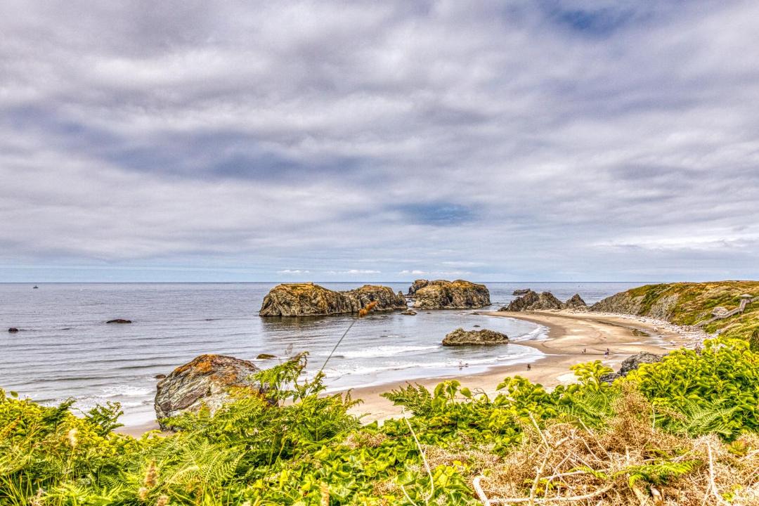 Photo of Others in Bandon