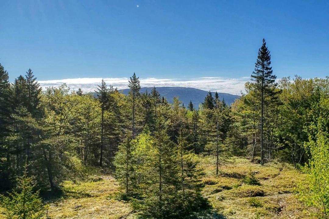 Photo of Others in Stone Haven