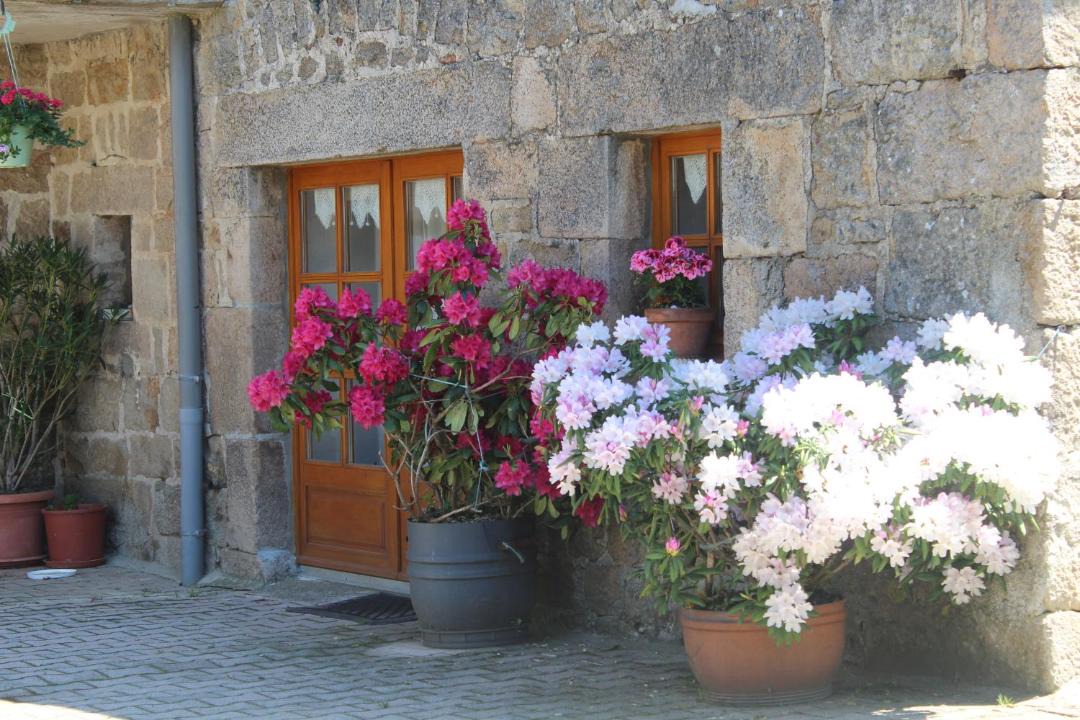 Photo of Others in Lapte