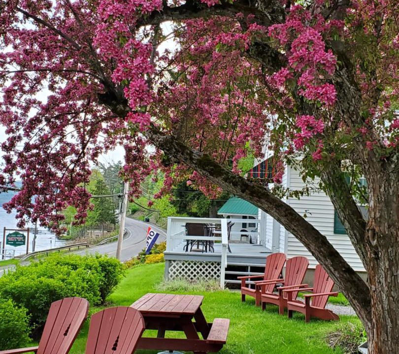 Photo of Others in Cooperstown