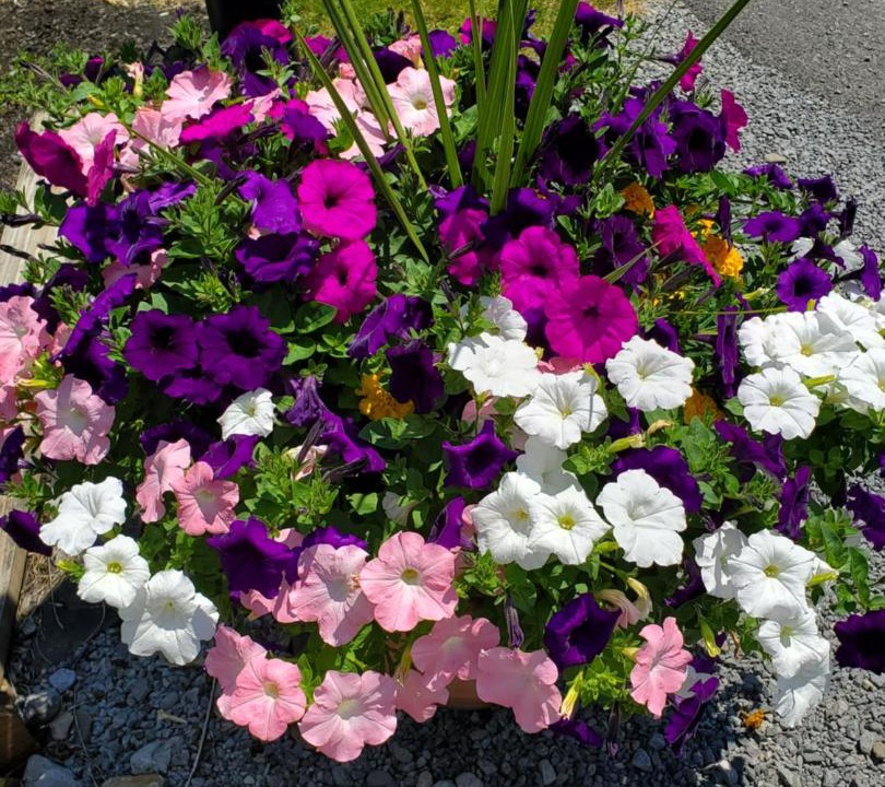 Photo of Outdoor in Cooperstown