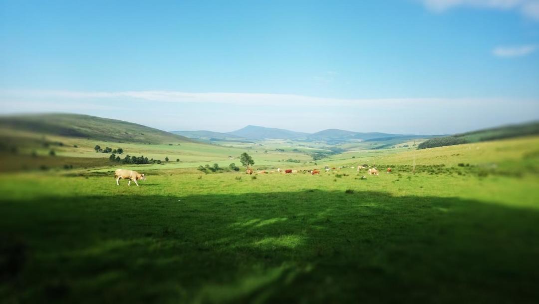 Photo of Others in Dufftown