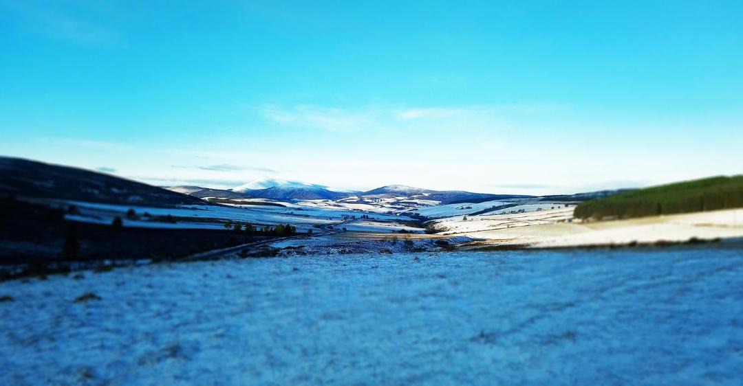 Photo of Others in Dufftown