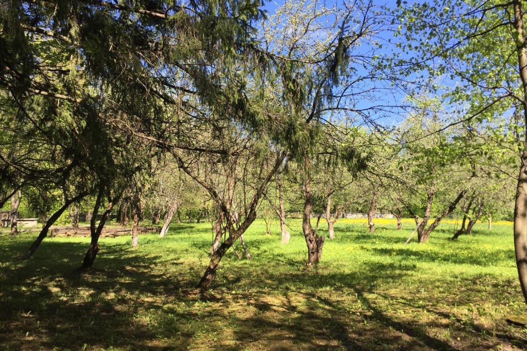 Photo of Outdoor in Zvenigorod