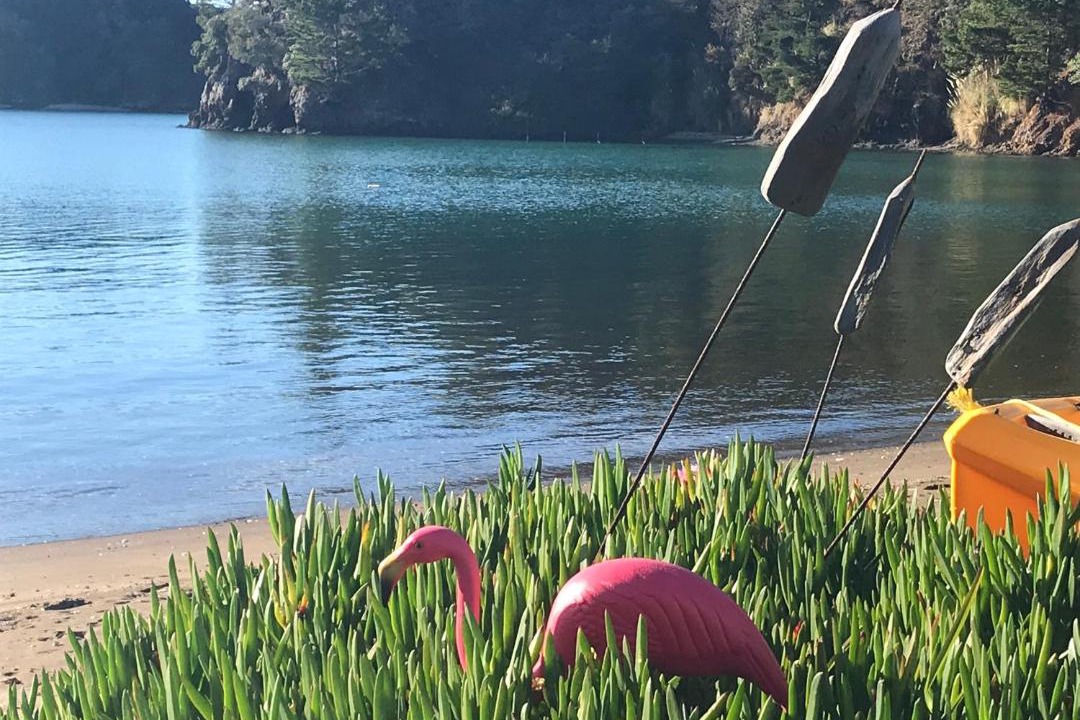 Photo of Others in Tutukaka