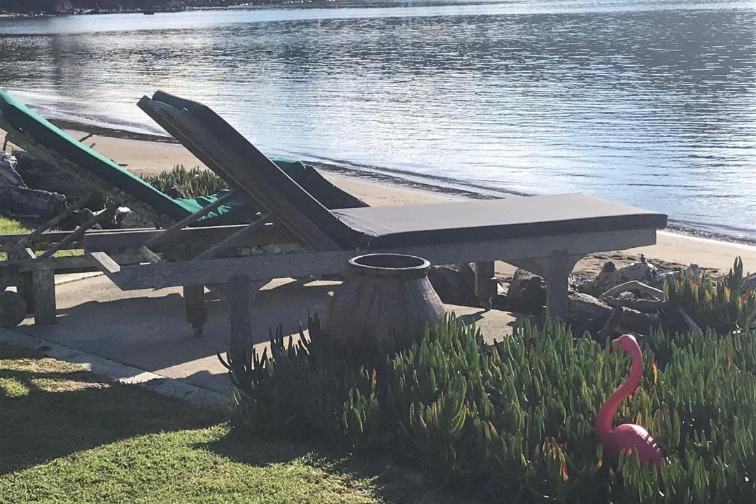 Photo of Others in Tutukaka