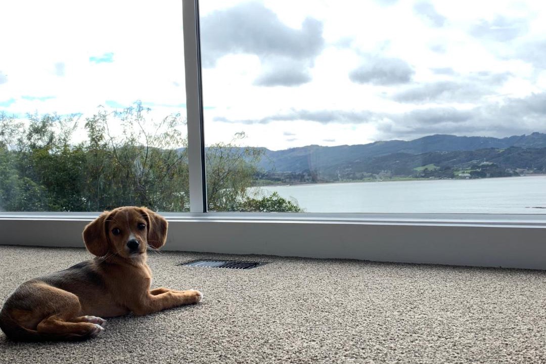 Photo of Others in Whitby