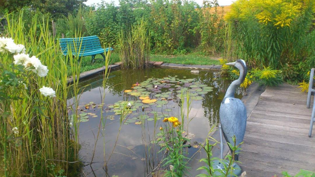Photo of Others in Saint-Lubin-de-la-Haye