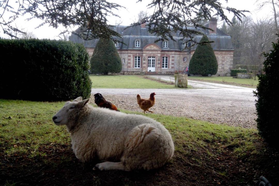 Photo of Others in Neufmoutiers-en-Brie