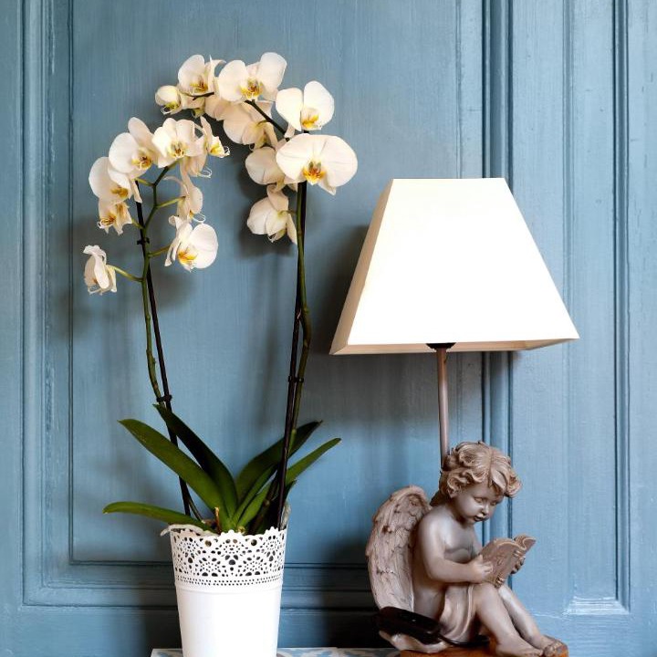 Photo of Others in Salins-les-Bains