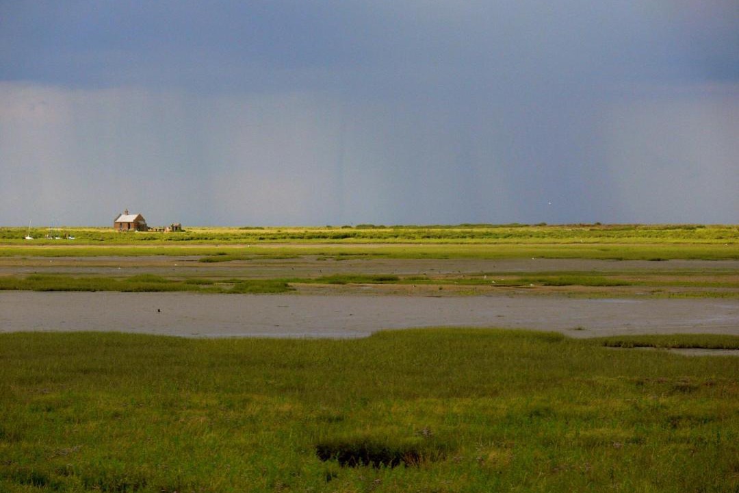 Photo of Outdoor in Holt