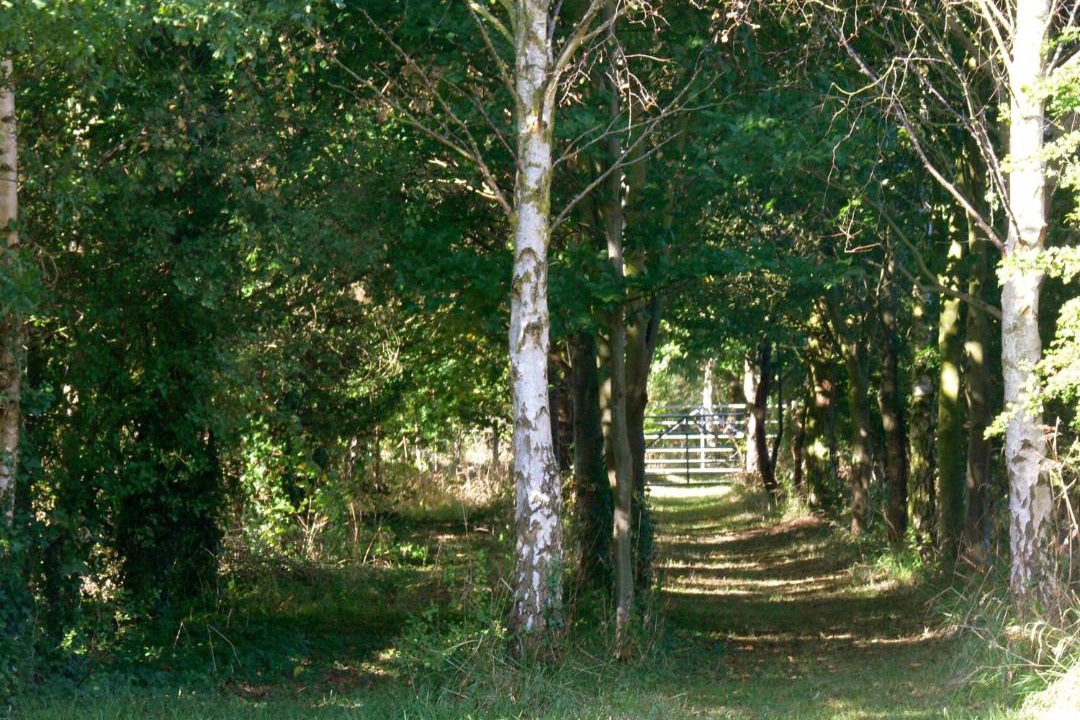 Photo of Outdoor in Holt