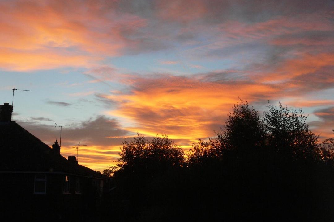 Photo of Outdoor in Holt