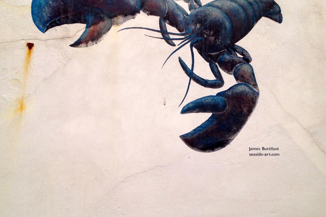 Photo of Others in Holt