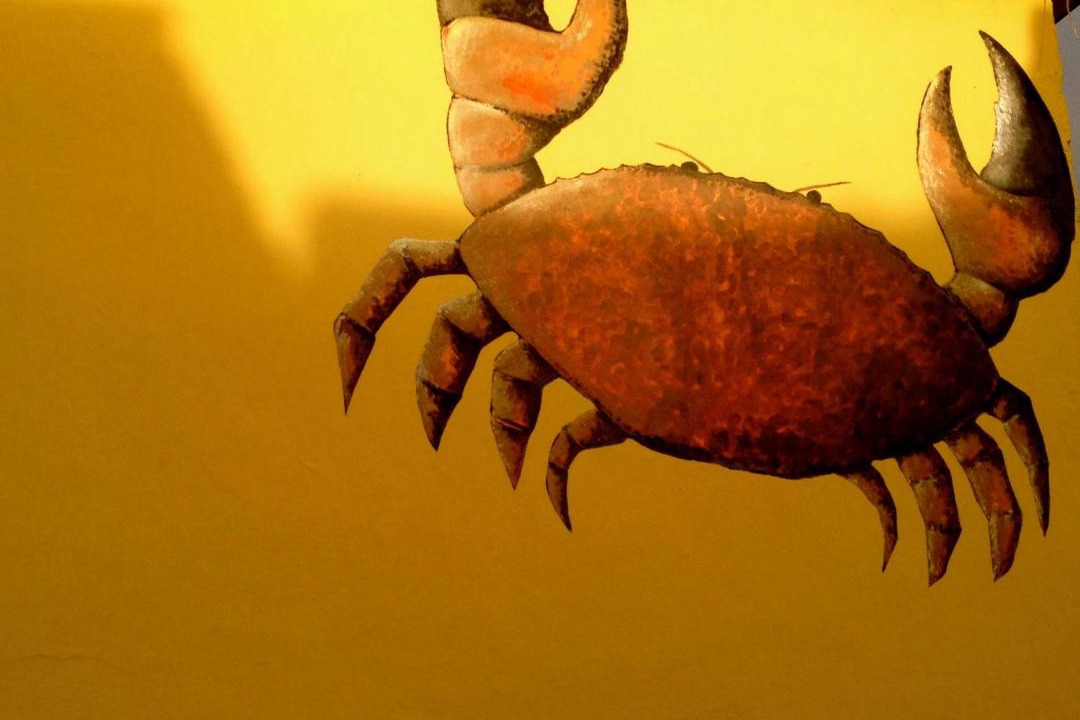 Photo of Others in Holt