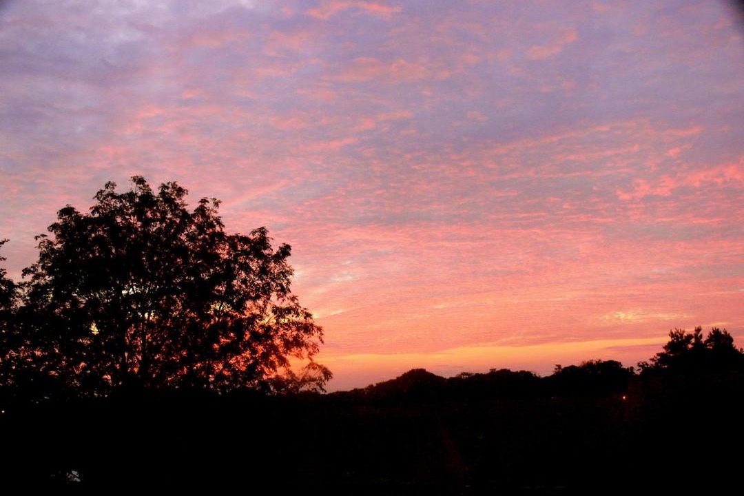 Photo of Outdoor in Holt