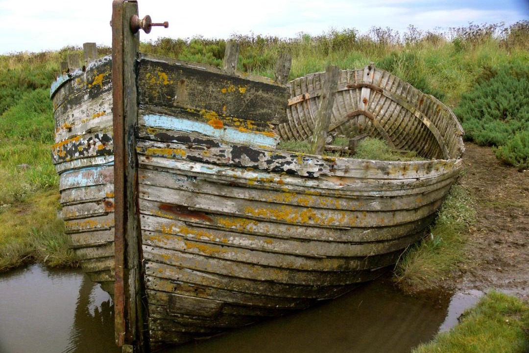 Photo of Others in Holt