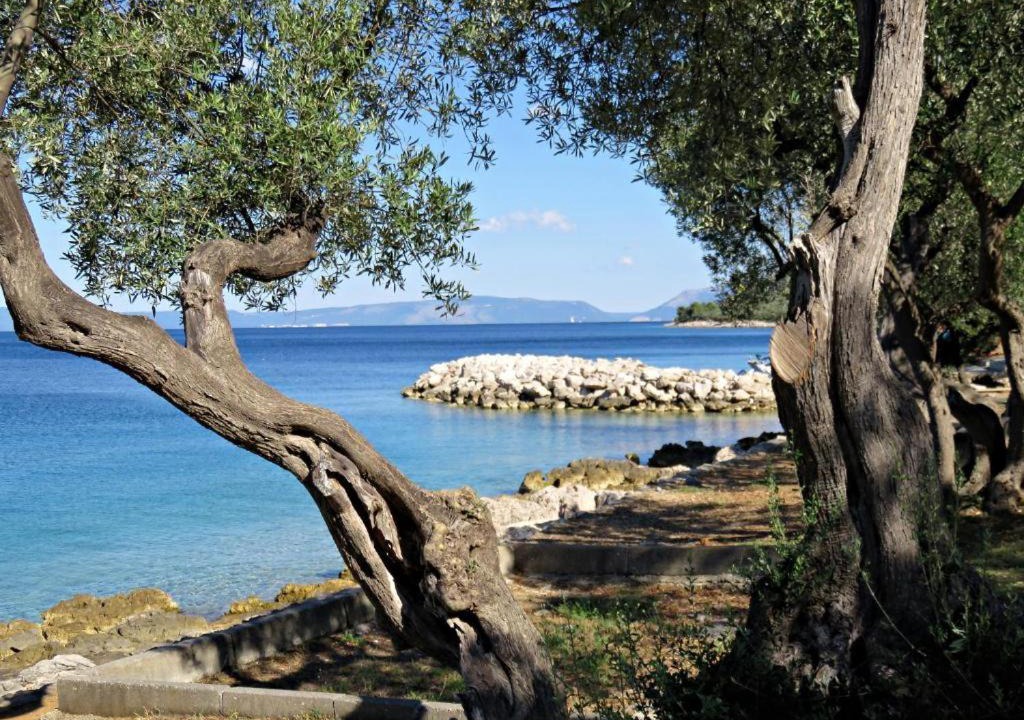 Photo of Others in Cres