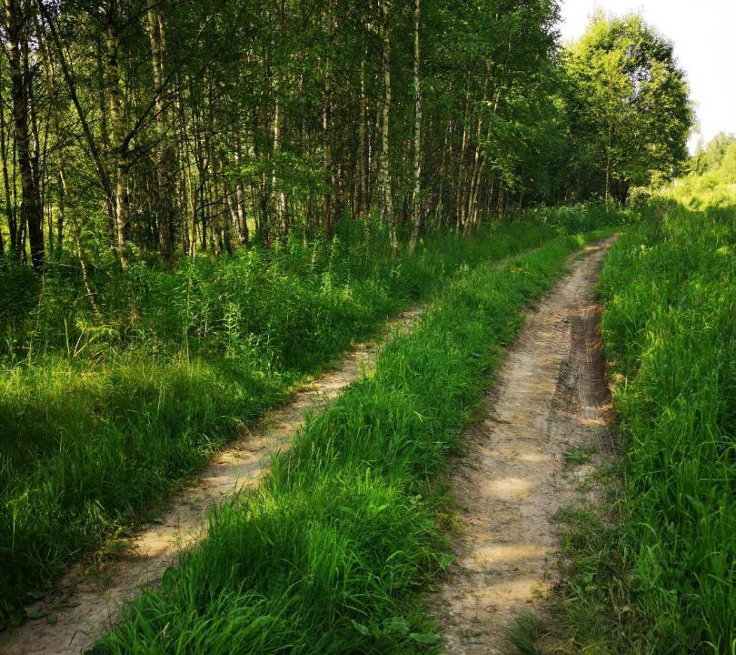 Photo of Others in Losinoye