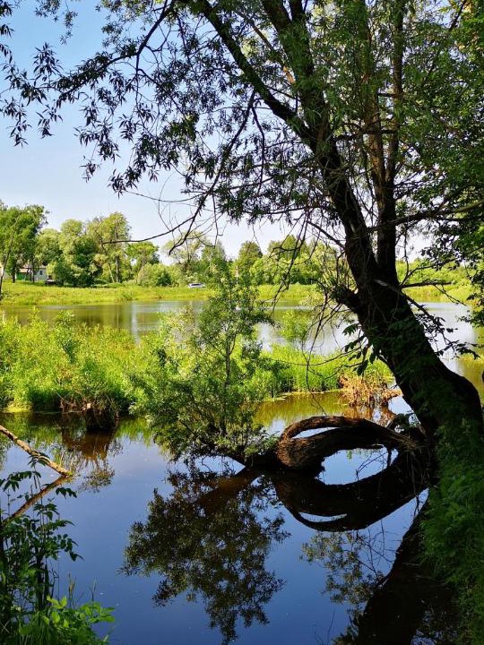 Photo of Outdoor in Losinoye