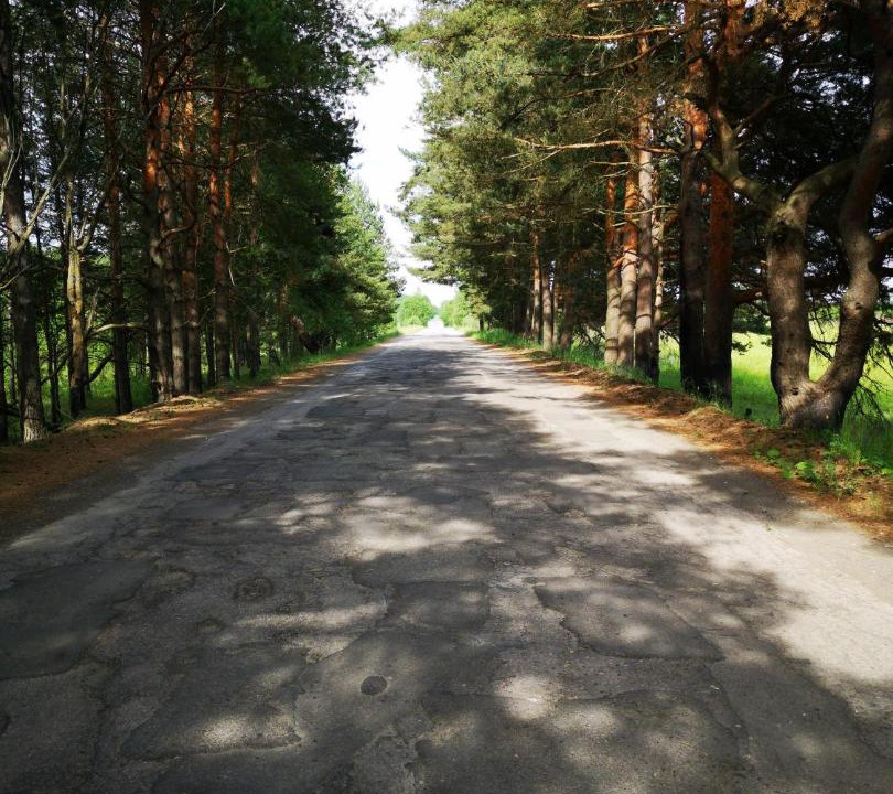 Photo of Others in Losinoye