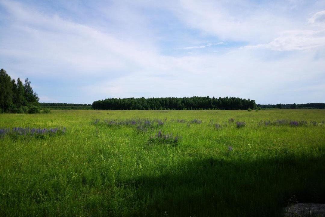 Photo of Outdoor in Losinoye