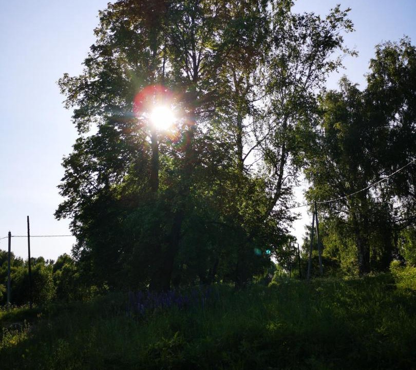 Photo of Others in Losinoye