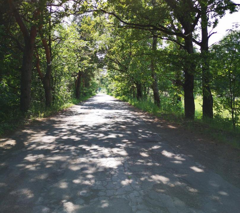 Photo of Others in Losinoye