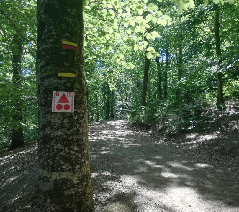 Photo of Others in Saint-Amans-Valtoret
