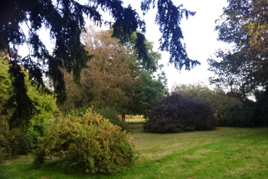 Photo of Others in Aberdeen