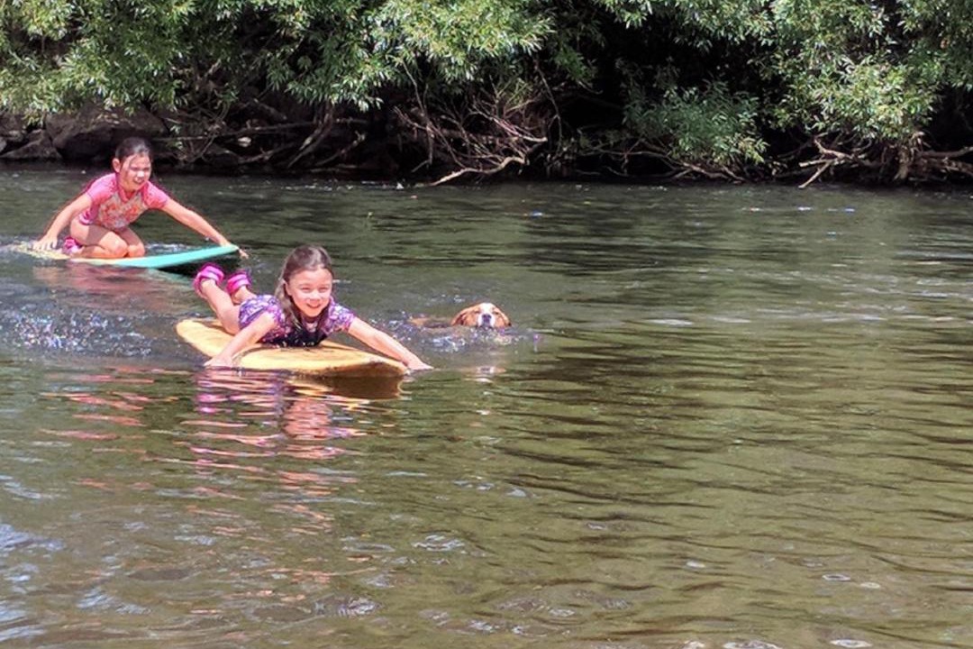 Photo of Others in Towong