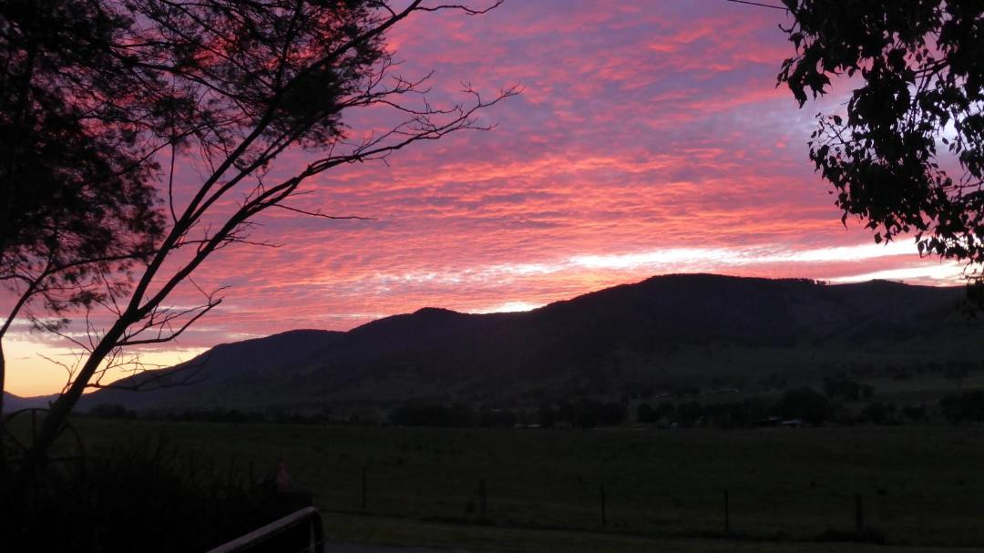 Photo of Others in Towong