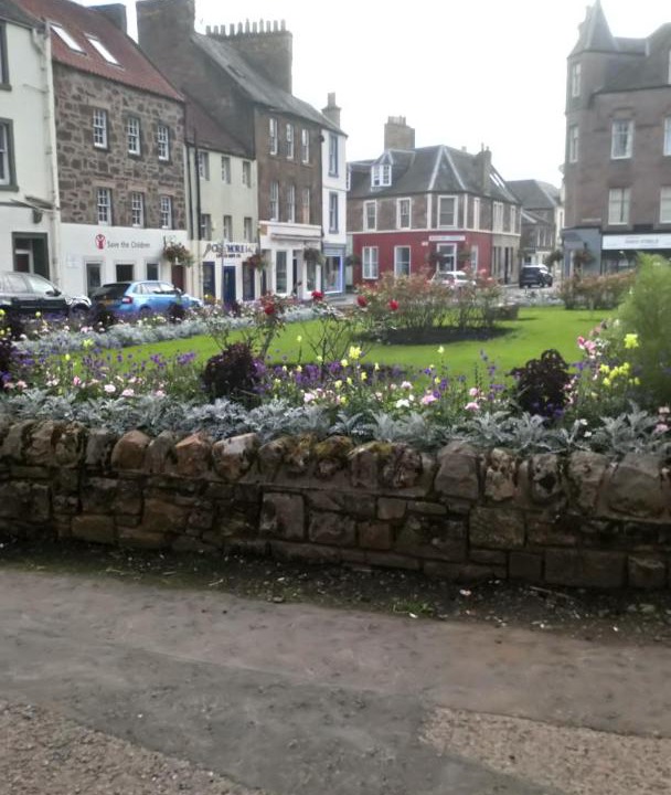 Photo of Others in Haddington