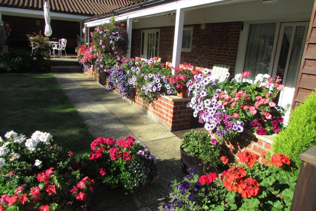 Photo of Others in Fritton