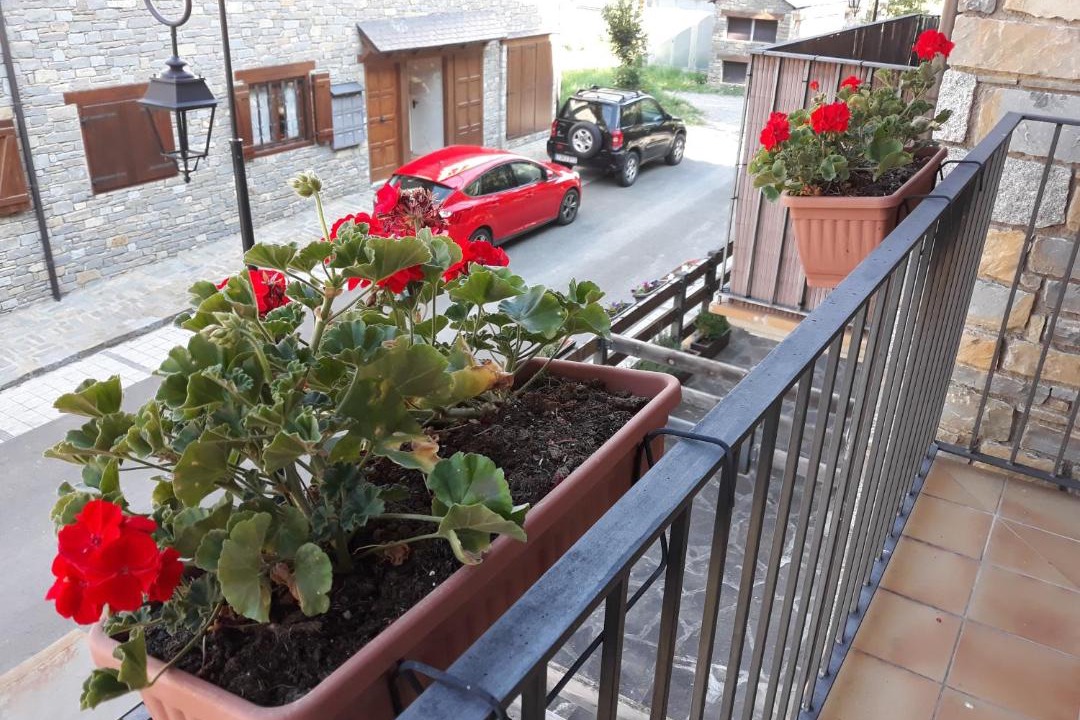 Photo of Patio Balcony in Boi
