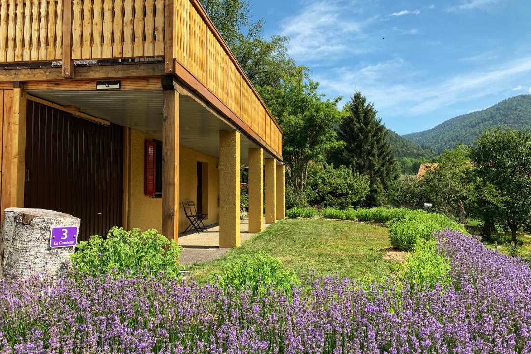 Photo of Others in Le Paquier