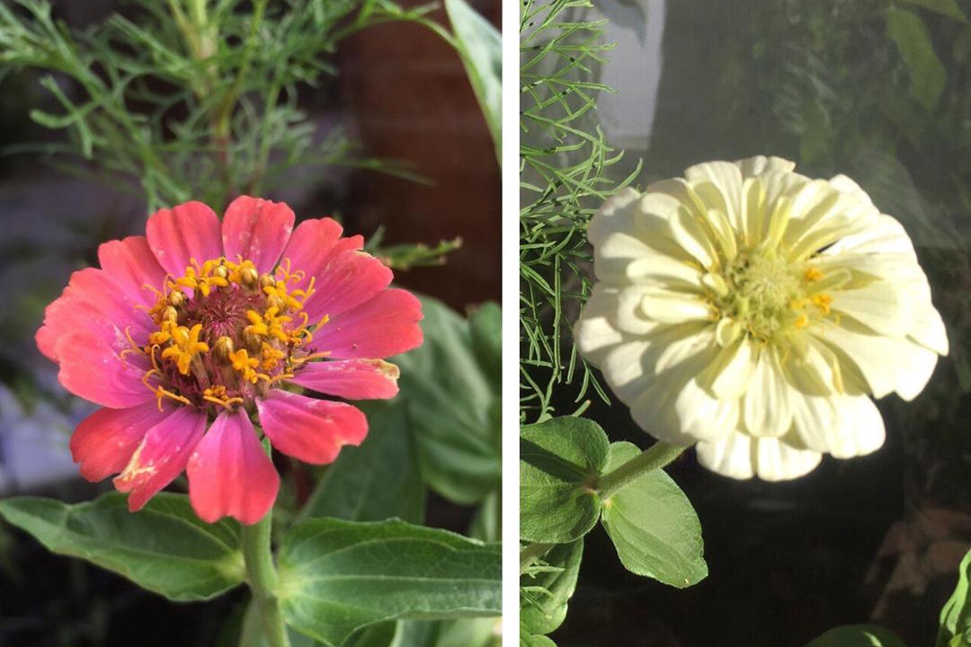 Photo of Others in La Villeneuve-au-Chatelot