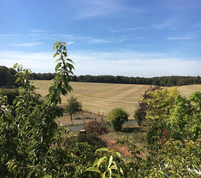 Photo of Others in Laville-aux-Bois