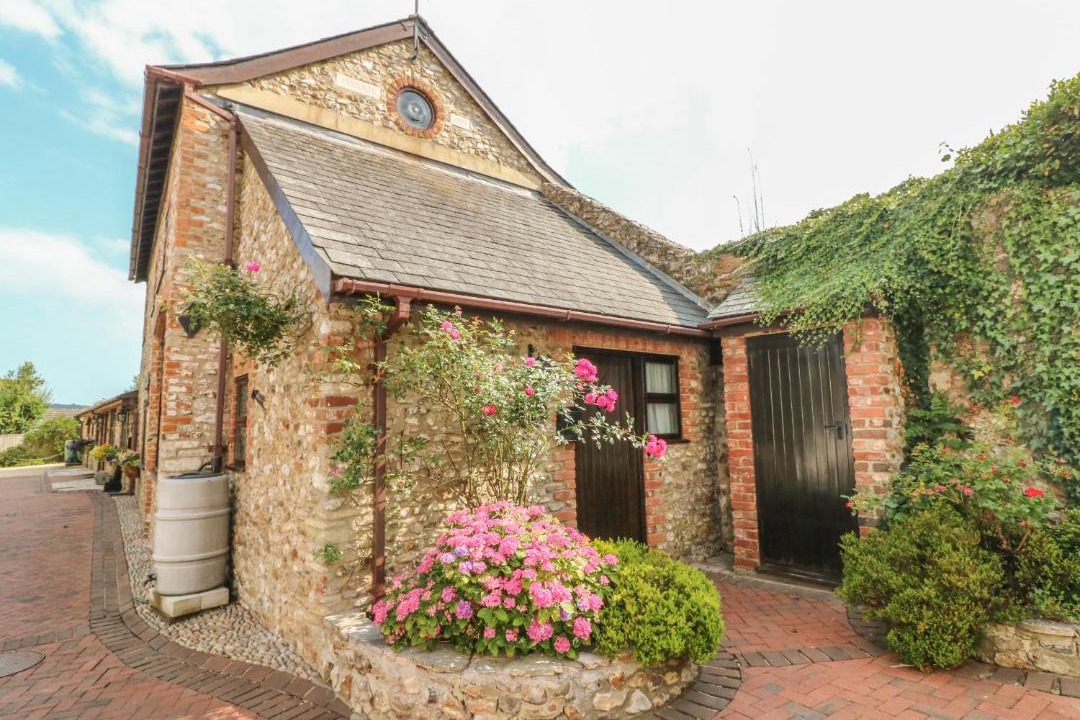 Photo of Buildings in Colyton