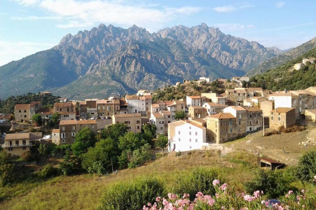 Photo of Others in Moltifao