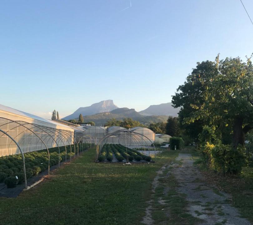 Photo of Others in Bassens