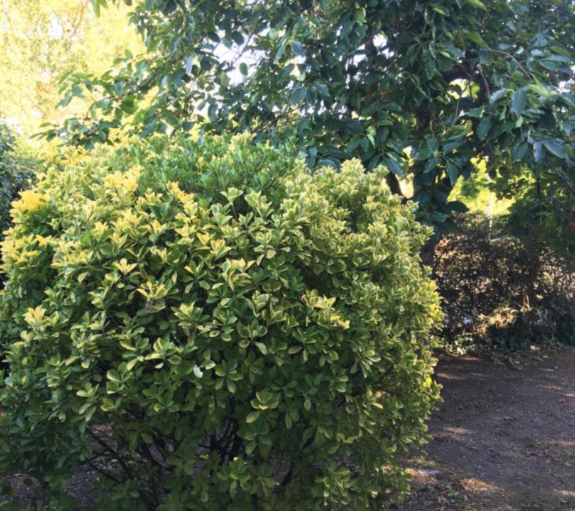 Photo of Others in Cognac