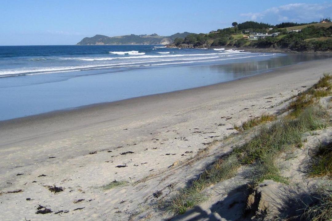 Photo of Others in Waipu Cove