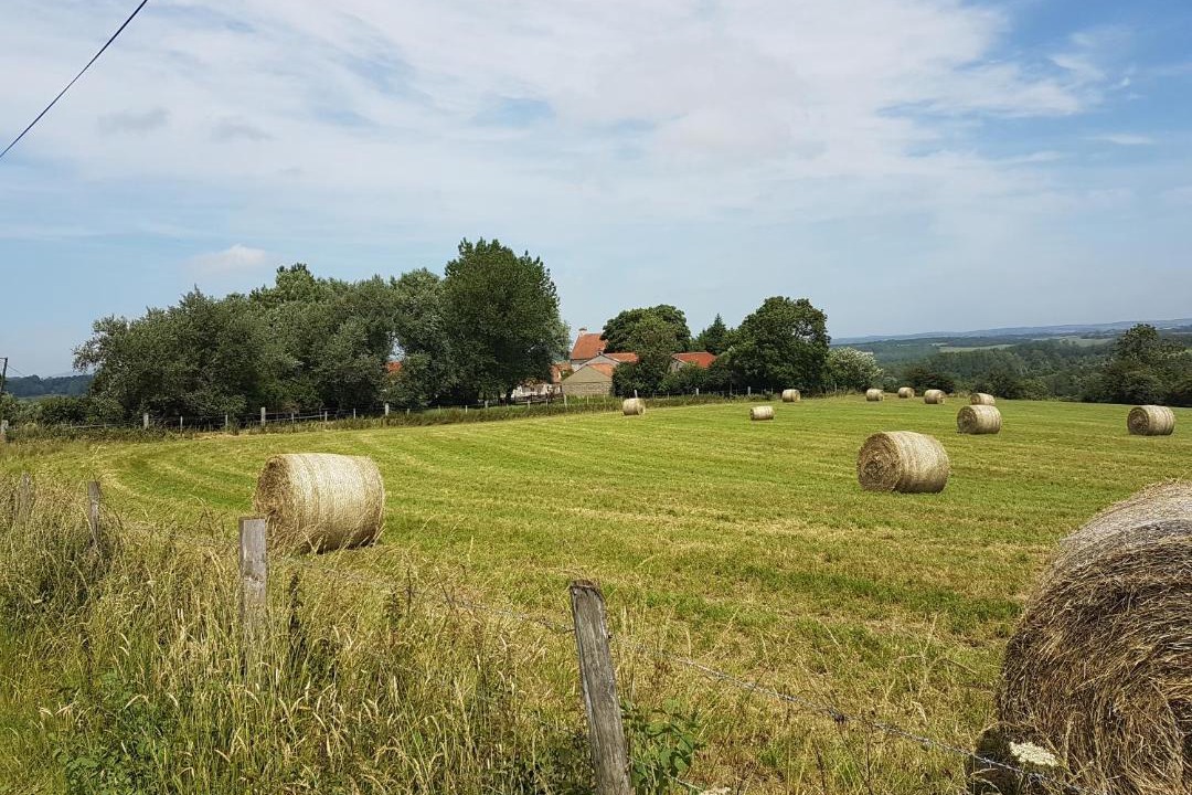 Photo of Others in Pernes-les-Boulogne