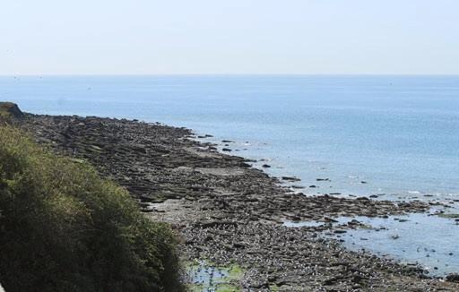 Photo of Others in Le Portel
