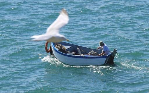 Photo of Human In Picture in Le Portel