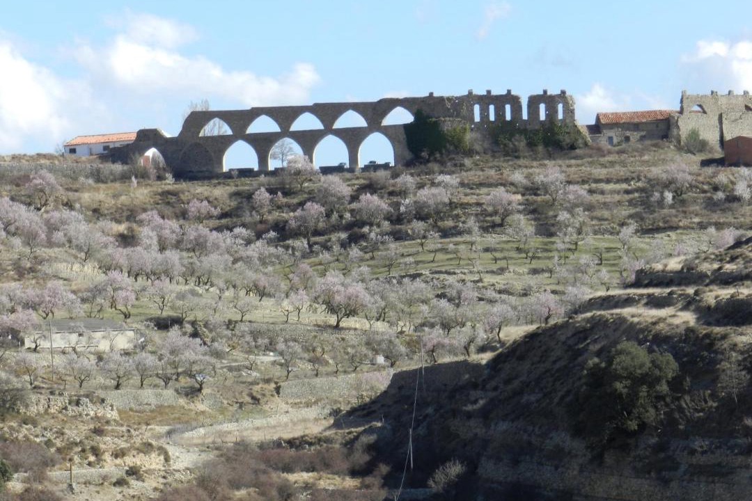 Photo of Others in Morella