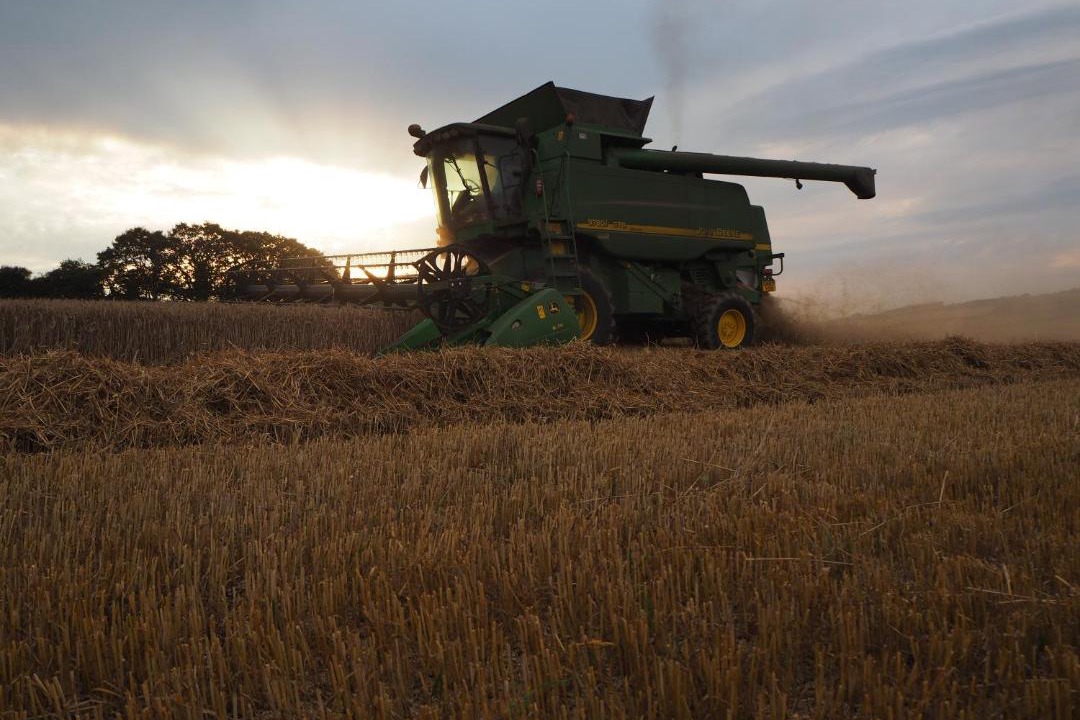 Photo of Others in Sticklepath