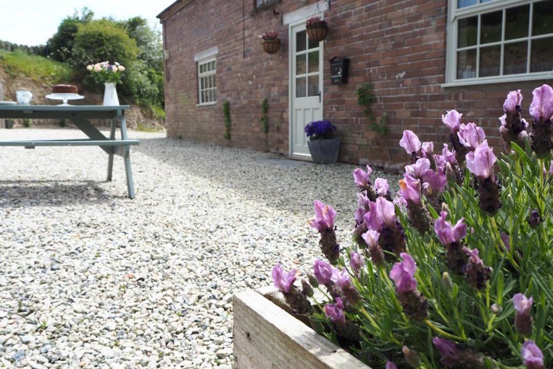 Photo of Others in Sticklepath