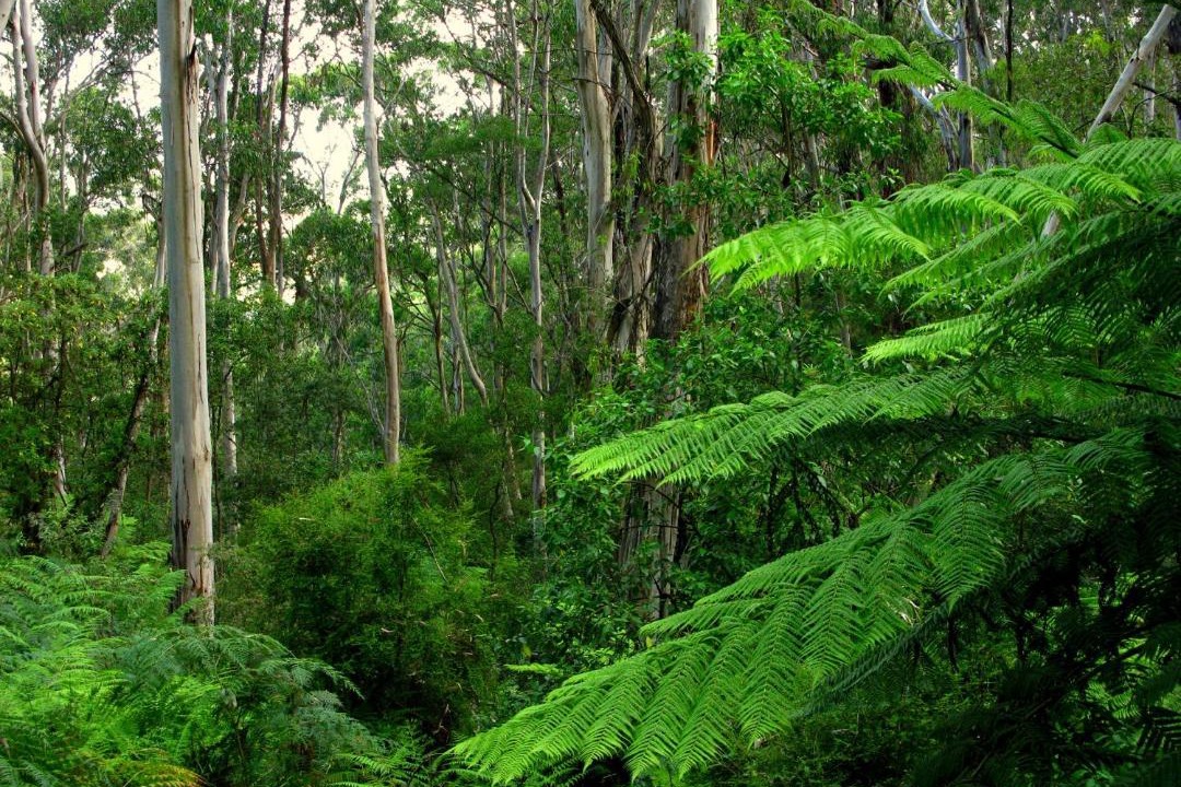 Photo of Others in Glenaire